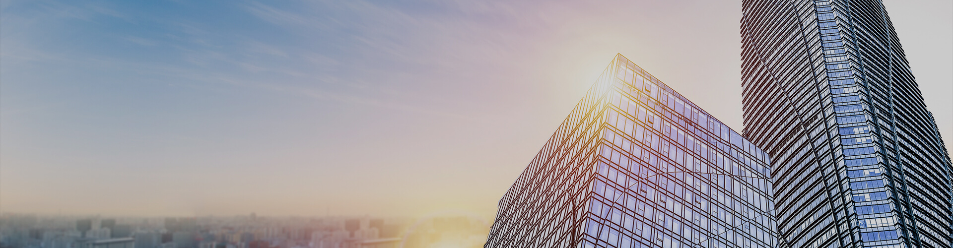 服務(wù)內(nèi)容