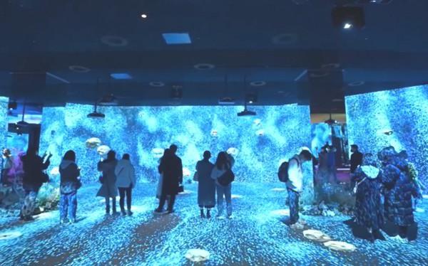 未來之影：數(shù)字化大觀影